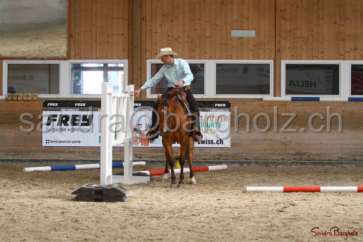 26-ApHC GT_035.jpg